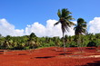 terra rossa della campagna dominicana