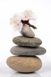 zen