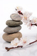 zen