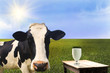 Milk
