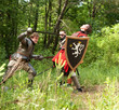 knights in armor is fighting