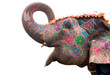 colorful elephant profile ,Jaipur, Rajasthan, India colorful elephant profile ,Jaipur, Rajasthan, India