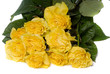 bouquet of rose