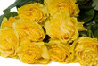 bouquet of rose
