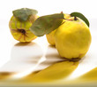 Quince