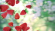 Falling fresh strawberry.