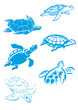 Photo en ligne au meilleur prix Tortues divers