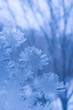 Slightly blurred blue frost pattern on a window glass