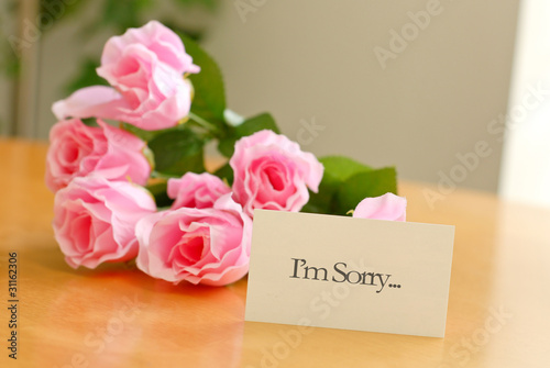 Photo: The Apology Conceptual Image The Apology Conceptual Image