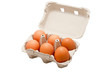 Open egg carton box showing six eggs isolated on white Open egg carton box showing six eggs isolated on white