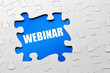 Webinar
