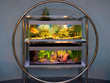 Large aquarium