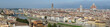 Florence overview Florence overview