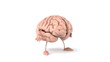 Cerveau
