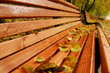 Bench in the park