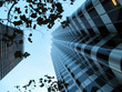 Photo: Looking up through branches at tall modern buildings at dusk Looking up through branches at tall modern buildings at dusk