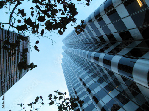 Photo: Looking up through branches at tall modern buildings at dusk Looking up through branches at tall modern buildings at dusk