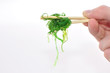 Goma Wakame