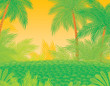 Jungle