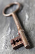 Antique key - shallow dof