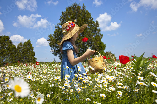 Foto: Spring comes Spring comes