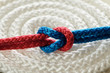 Foto: Nodo rosso blu Nodo rosso blu