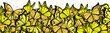 butterflies border