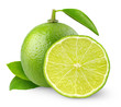 Fresh limes isolated on white