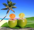 fresh coconuts straw cocktails tropical palm tree beach fresh coconuts straw cocktails tropical palm tree beach