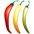 Peperoncini Piccanti Tricolori-Hot Chili Pepper 3 Colors-Vector