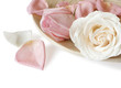 The roses and petals
