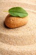 zen stone and leaf