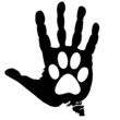 Love animals