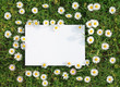 Feuille de papier et fleurs blanche