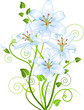 Lilly