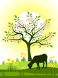 spring scene