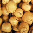 quince fruits closeup, natural background