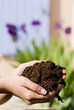 terreau pour plantations