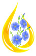 Flaxseed oil. Stylized drop of oil and flax flowers inside.