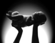 Nueva vida de un niño. Nueva vida de un niño.