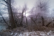 Winteridylle