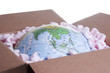 World in a Box