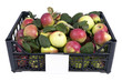the box of bright red and green apples isolated over white with
