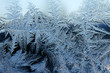 Frosty pattern