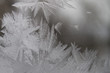 Frosty pattern