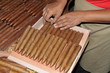 Prepare for sell hand made cigars