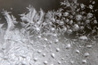 Frosty pattern