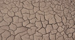 dry soil