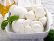 variety of italian buffalo mozzarella-mix  mozzarelle di bufala