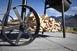 Grillwagen mit Holz Grillwagen mit Holz